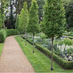 an image of a garden with trees and flowers on the side walk in front of it