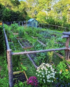 an outdoor garden with lots of plants and flowers