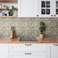 a potted plant sitting on top of a wooden counter next to white cupboards