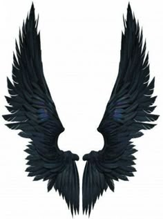 two black wings on a white background with clippings to the left and right