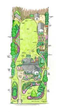 a drawing of a garden with lots of trees and plants in it, including grass