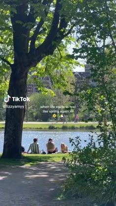 people are sitting on the grass next to a tree and water in a city park