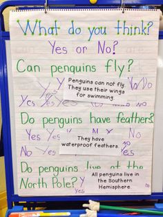 a blue suitcase with writing on it and some pencils next to it that says, what do you think? yes or not can penguins fly?