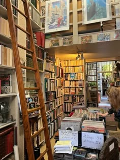 there are many books on the shelves in this room and one is leaning up against a ladder