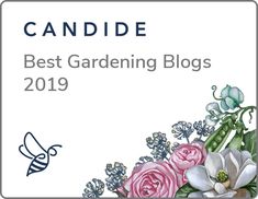 the best gardening blogs in canada for spring and summer 2019 - candide magazine