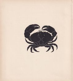 a black and white drawing of a crab