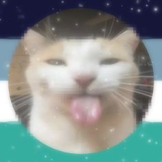 a white cat with its tongue out and stars in the sky behind it's head