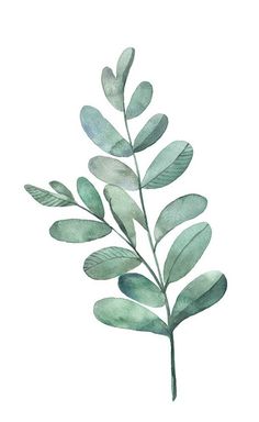 a watercolor painting of a plant with green leaves