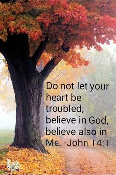 a tree with leaves on it and the words do not let your heart be troubled, believe