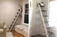 two pictures side by side one has a cat on top and the other has a ladder