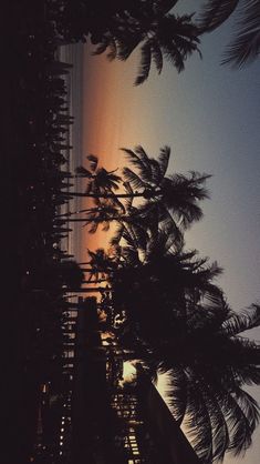 the sun is setting behind some palm trees