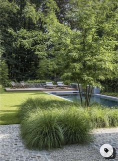 an outdoor area with grass and trees in the foreground, surrounded by stone pavers