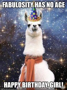 an alpaca wearing a birthday hat with the caption happy birthday, alfaca cake