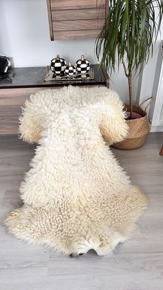 a white sheepskin rug is on the floor next to a potted plant