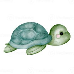 a watercolor painting of a green turtle with pink nose and black eyes, swimming in the ocean