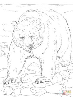 a drawing of a bear standing on rocks