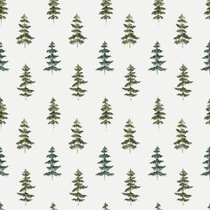 Evergreen Forest Trees Fabric - White - ineedfabric.com Dickson Tennessee, Forest Fabric, Trees Fabric, Evergreen Forest, Forest Trees, Digital Print Fabric, Display Screen, Pigment Ink, Textile Prints