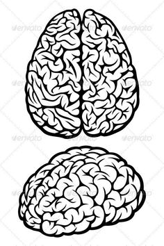 Brain Smart Study, Brain Vector, Idea Illustration, Free Art Prints, Skull Drawing