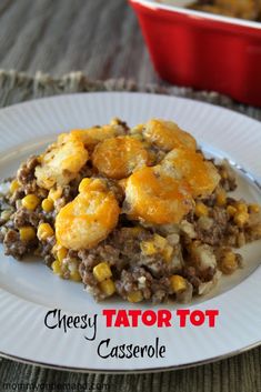 a white plate topped with cheesey tater tot casserole