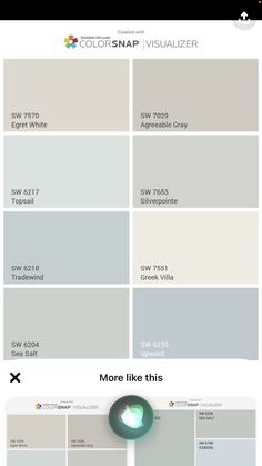 the different shades of gray paint are shown in this screenshote screen shot, which shows