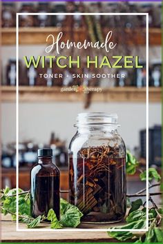 Witch hazel is a beautiful ornamental in the home garden   it can be used to make a facial toner that reduces inflammation, acne, and fights signs of aging. Learn more: #witchhazel #naturalbeauty #herbs #healingherbs #naturalskincare #gardentherapy Diy Witch Hazel, Cleaning Wounds, Witch Hazel For Skin, Diy Witch, Witch Hazel Toner, Garden Therapy, Natural Beauty Recipes, Herbal Tinctures, Herbal Recipes