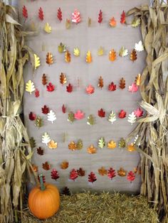 an autumn bulletin board with fall leaves on it and a pumpkin sitting in the hay