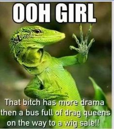 an iguana with the caption me i am clearly upset why isn't anyone asking my emotions?