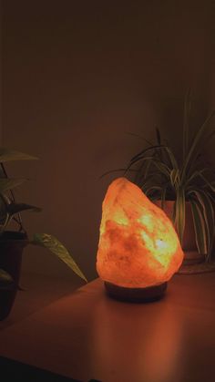 a rock lamp sitting on top of a wooden table next to potted plantes