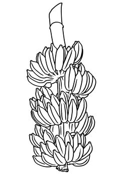 a bunch of bananas on top of each other in a black and white line drawing