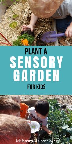 a young child in the garden with text overlay that reads plant a sensory garden for kids