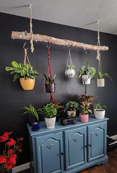 several potted plants are hanging on the wall next to a blue cabinet with lights