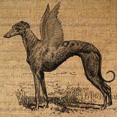 an old drawing of a dog standing in the grass with its wings spread out and it's back turned