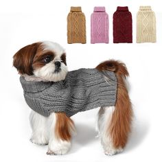 a small dog wearing a sweater in front of three bottles