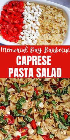 pasta salad with tomatoes, basil and mozzarella