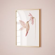 a pink wall with a gold frame hanging on it and a hummingbird painting in the corner