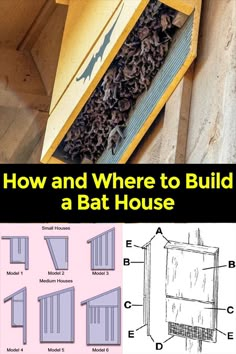 how and where to build a bat house