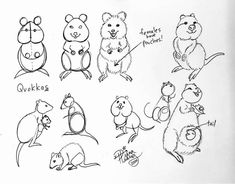 some drawings of different kinds of mice