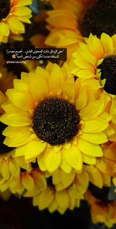 yellow sunflowers with an arabic quote in the middle