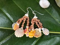 three seashells are attached to beaded earrings on a green leaf next to a sea shell