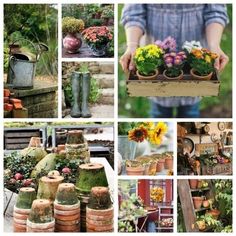 many different pictures of flowers and plants in pots on the ground, with one person holding an old watering can