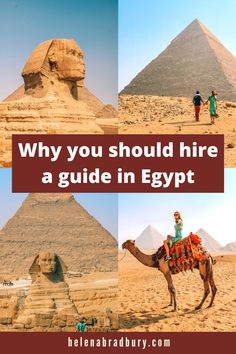 the pyramids and sphinxs in egypt with text overlay that reads why you should hire a guide in egypt