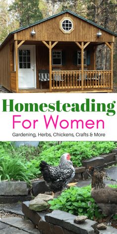 a book cover for homesteading for women gardening, herbs, chickens, crafts & more