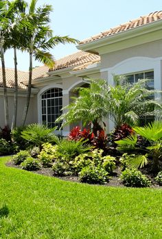 a house with landscaping and palm trees in the front yard on a nice sunny day