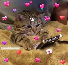 a cat laying on top of a bed covered in hearts