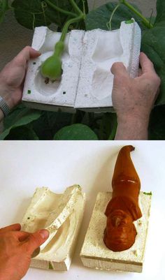 two pictures one showing the process of making an insect sculpture and the other shows how it looks like