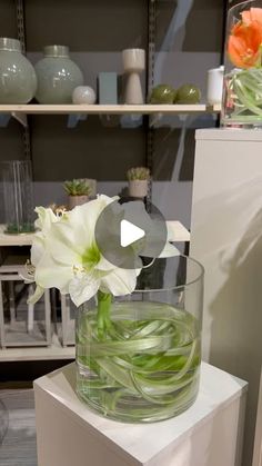 there is a vase with flowers in it on top of a box and some shelves