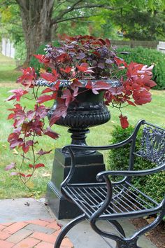 a metal bench sitting next to a bush with red leaves on it's back