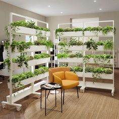 a living room filled with lots of green plants on the walls and shelves next to a yellow chair