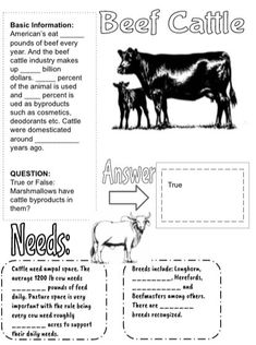 an info sheet describing the benefits of beef cattle