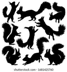 the silhouettes of squirrels and other animals are shown in black on a white background